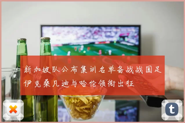 新加坡队公布集训名单备战战国足伊克桑凡迪与哈伦领衔出征