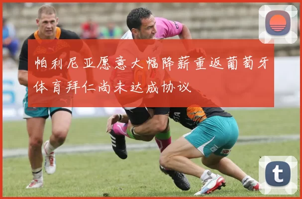 帕利尼亚愿意大幅降薪重返葡萄牙体育拜仁尚未达成协议